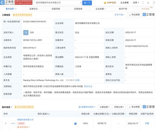 软件开发与信息技术咨询服务 驱动数字化转型的双引擎